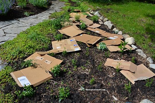 How to Rebuild a Perennial Garden Bed Cardboard Layering