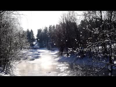 Winter walk