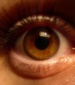 Daily Rituals to Stay Laser-Focused
