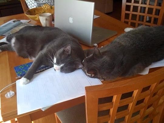 Not one, but TWO cats.