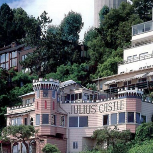 image of Julius Castle