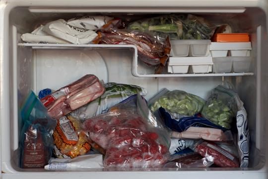 An unorganized freezer