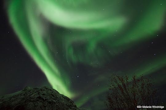 Wild aurora in northern Norway.
