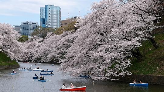 Tokyo Blossom