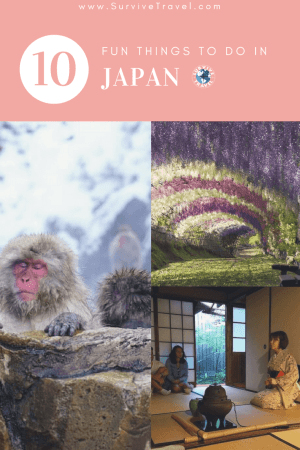 Pin, Fun Things to do in Japan, Survive Travel