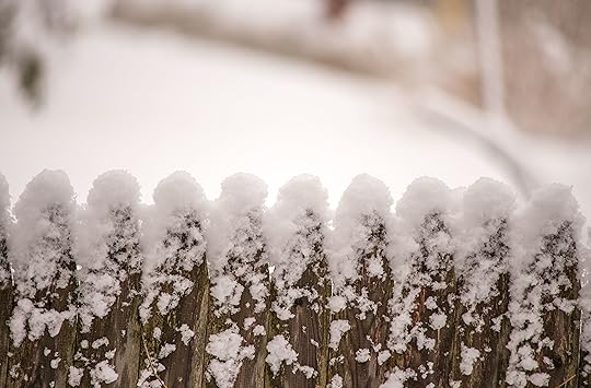 DSC_6457_snow_fence
