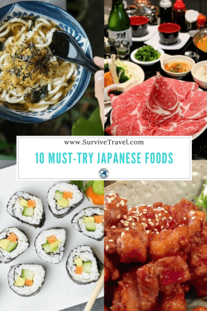 Pin, Must-Try Japanese Foods, Survive Travel
