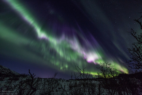 Aurora Magic over Vesterålen, Northern Norway. Photographer Benny Høynes