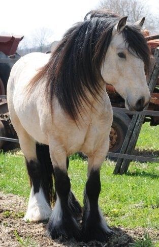 See the source image