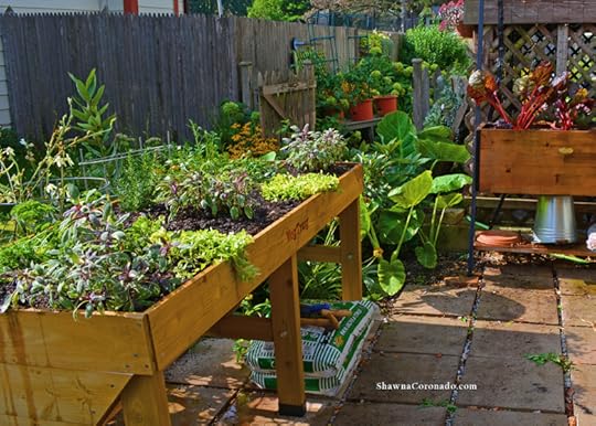 Herb Garden Elevated Bed