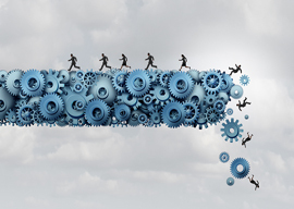 David Cole on the collapse of the Florida “diversity bridge”