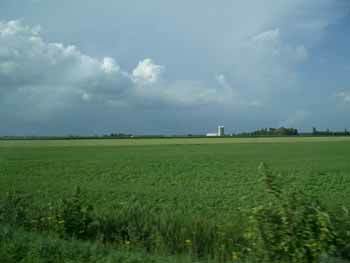Canada-cornfield-1