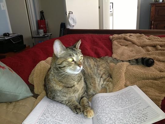 Reading the latest manuscript...