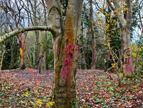 IMG_20171216_083339_166