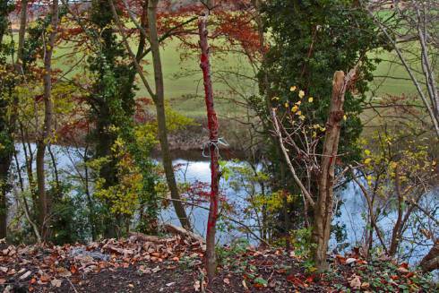 IMG_20171217_091158_922