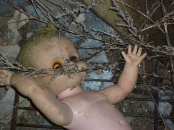  photo sub-buzz-29558-1468855587-1_zpspfoyu7ta.jpg