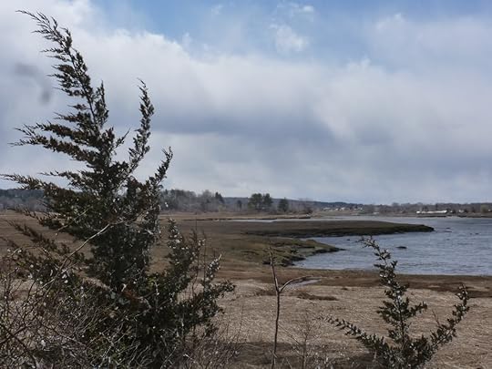 The marsh in Ipswich, MA.
