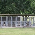 Appealing How To Design A Dog Kennel 61 On Modern Decoration Design with How To Design A Dog Kennel