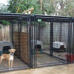 Charming How To Design A Dog Kennel 29 On Modern Decoration Design with How To Design A Dog Kennel