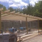 Enchanting How To Design A Dog Kennel 28 With Additional Layout Design Minimalist with How To Design A Dog Kennel