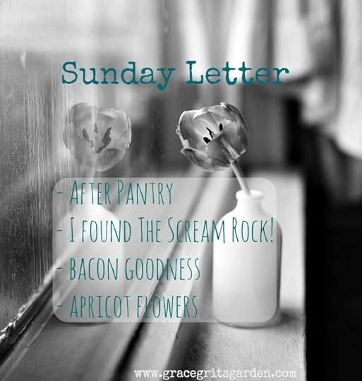 Sunday Letter Spring Break Edition