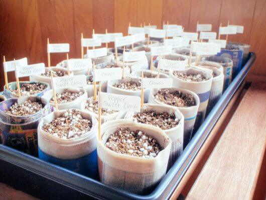 The No-Brainer Guide to Starting Seeds Indoors