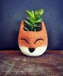 succulent planter