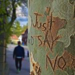 No carved on tree truck