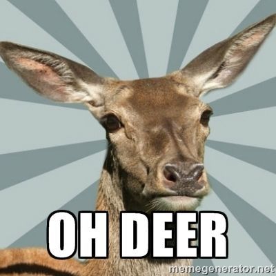 Image result for oh meme