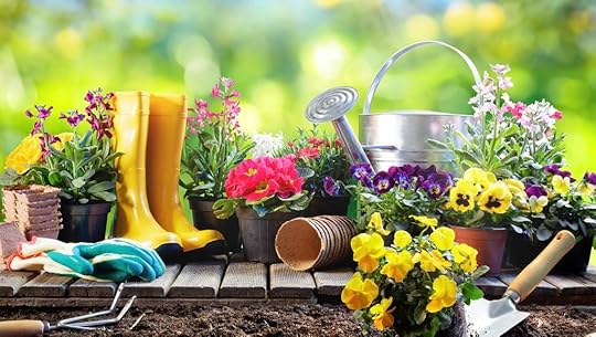  photo AE4E9A54-42BB-4E81-9FA7-1DA02CDE9B29_zpsl8dxhogr.jpeg