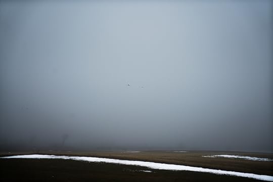 DSC06951