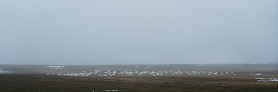 DSC06955-Edit