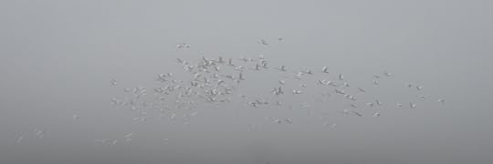 DSC06808