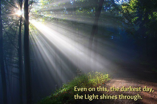 Light streaming through trees.