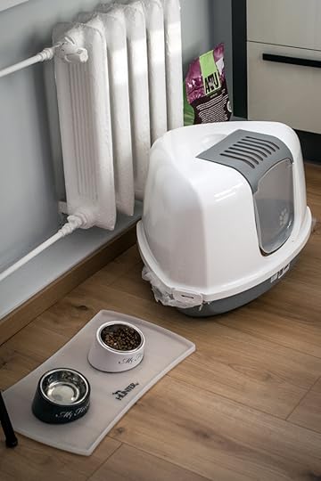 merilin-taimre-paljas-porgand-kodu-sisustus-jysk-homeart-korter-kolimine-üür-turvakodu-kass-lemmikloom-elli-petcity