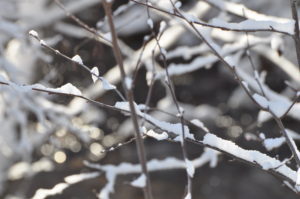 Publishing Update – The Tenth House