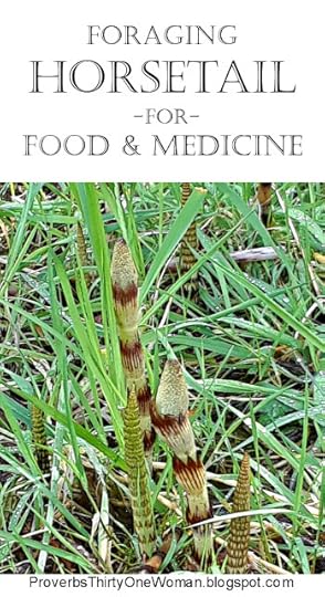 Eating Horsetail, Horsetail Medicine