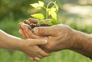 Parent and Child in Nature