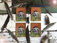 Free Four Card Power Animal Oracle – What does your animal spirit have to tell you?