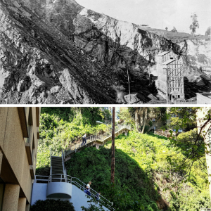 images of Telegraph Hill Quarry