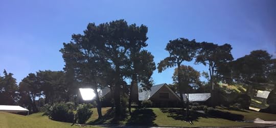 Punta del Este home