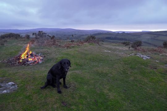 Easter hound, Nattadon Hill