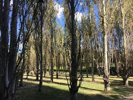 Park