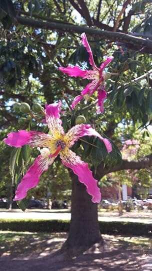 Tree Flower