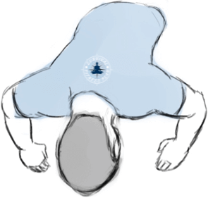 5 How to do a 50m Underwater Swim, Survival Fitness Plan Survival Swimming Training