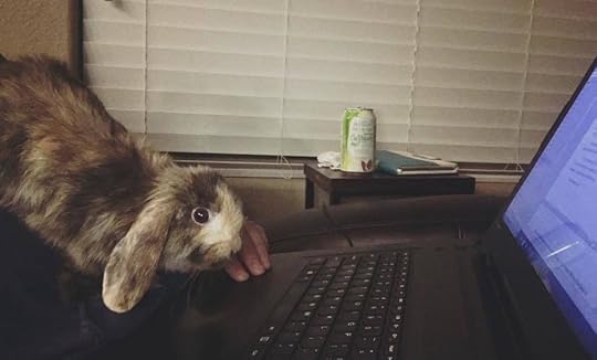 Jaycee Weaver with Brindle