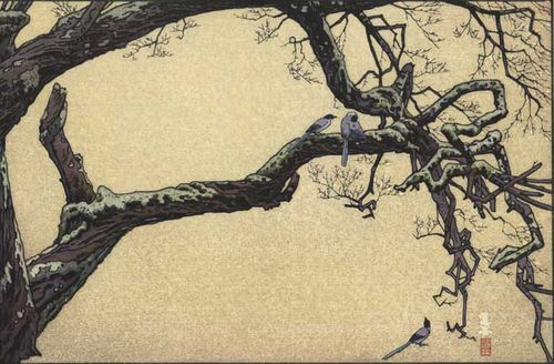 PlumTreeBlueMagpieYoshida