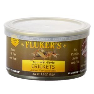 eating crickets
