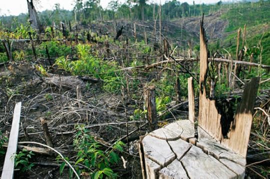 AP/Achmad Ibrahim