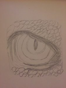 dragon eye in box